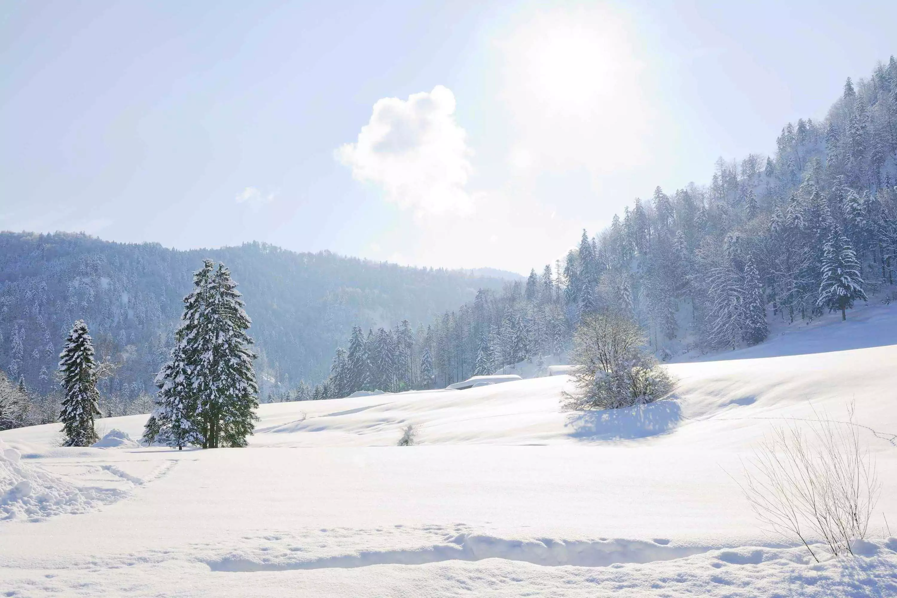 Familienurlaub Winter Ferienwohnung Marktschellenberg